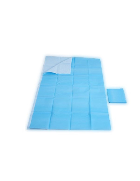 Servilleta babero azul  bicapa 33x45cm  ref.122851 caja 500 uds.